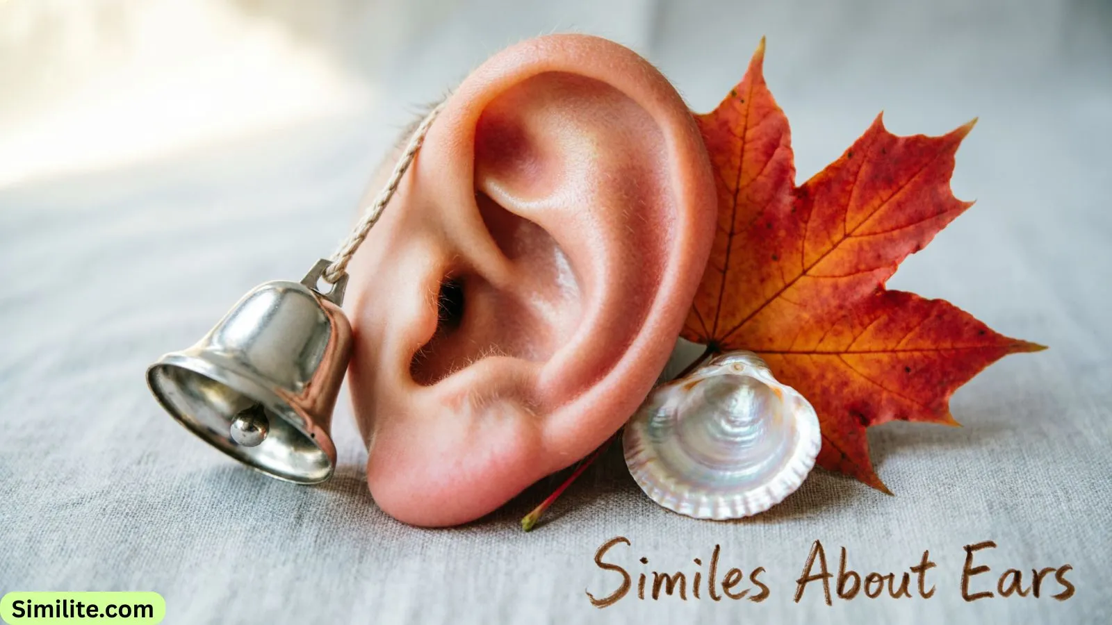 Similes About Ears