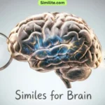 Similes for Brain