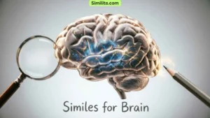 Similes for Brain