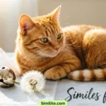 Similes for Cats