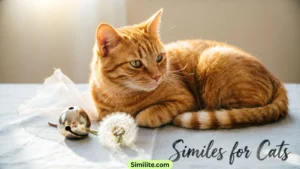 Similes for Cats