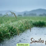 Similes for Rain
