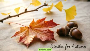 Similes for Autumn