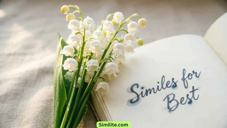 Similes for Best