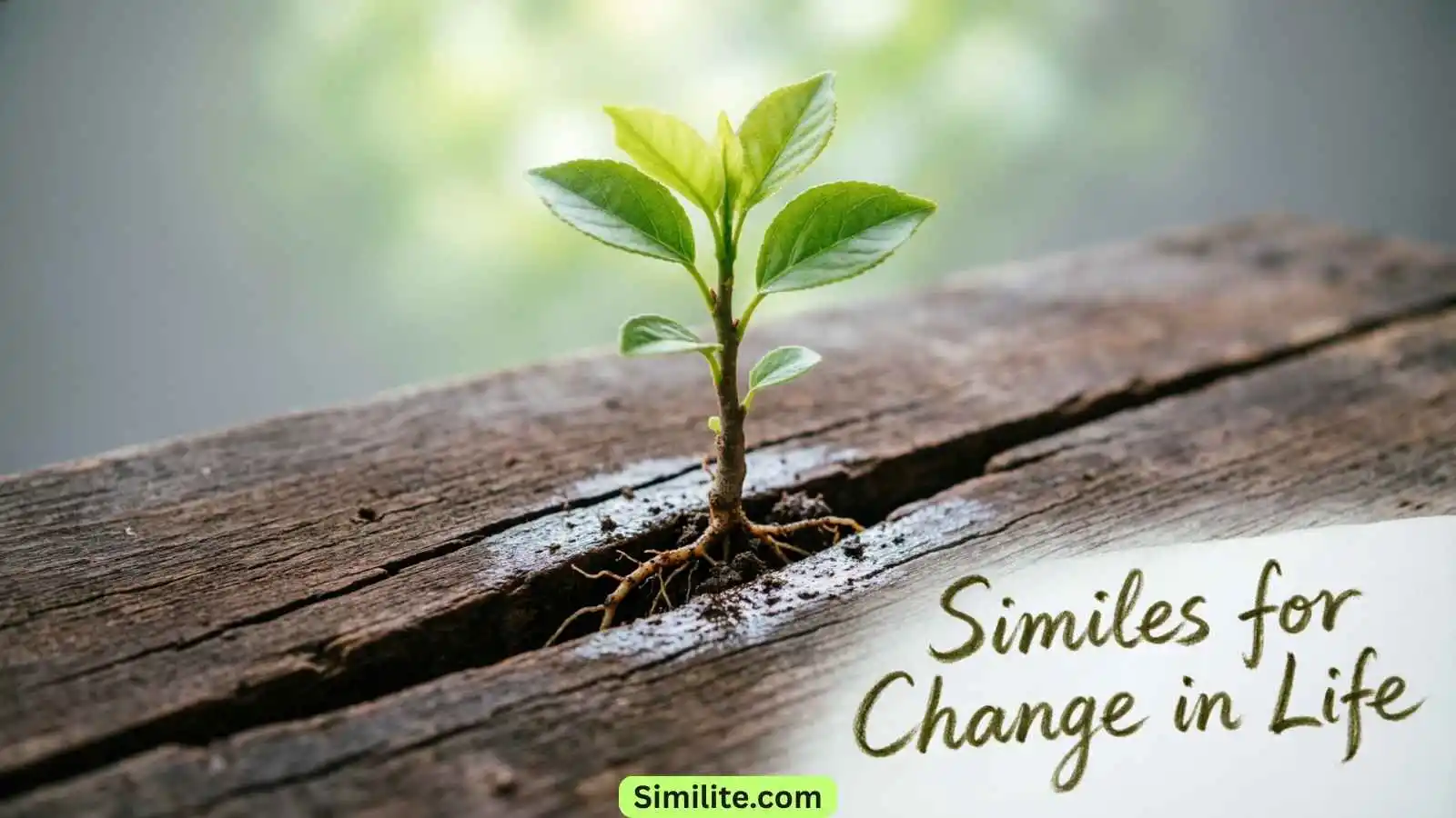Similes for Change in Life