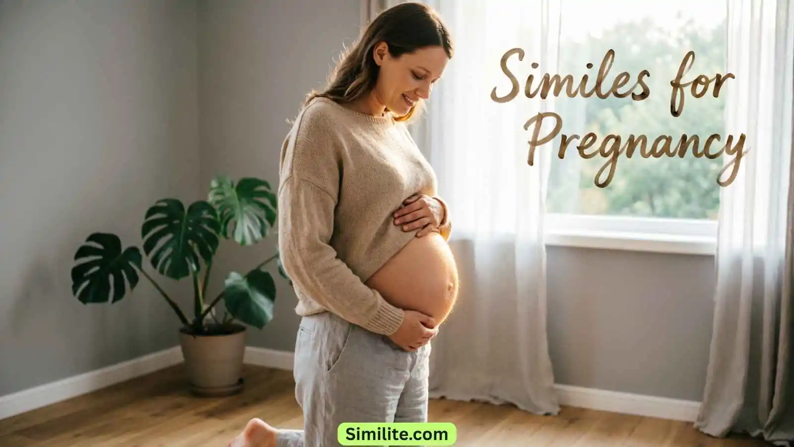 Similes for Pregnancy