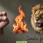 Similes for Angry