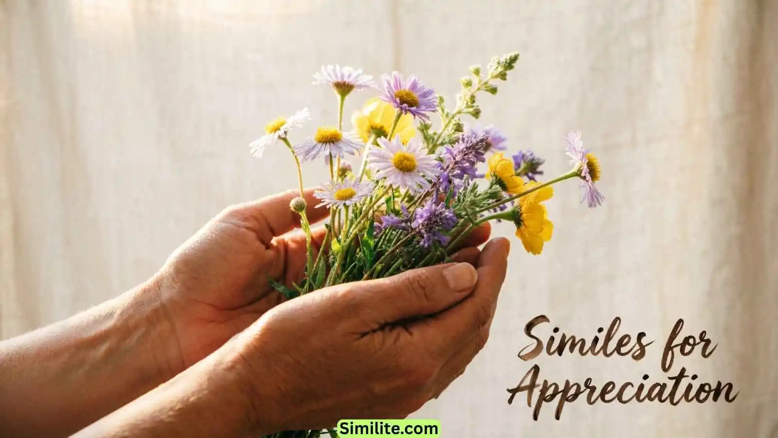 Similes for Appreciation