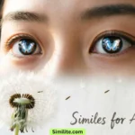 Similes for Attention