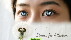 Similes for Attention