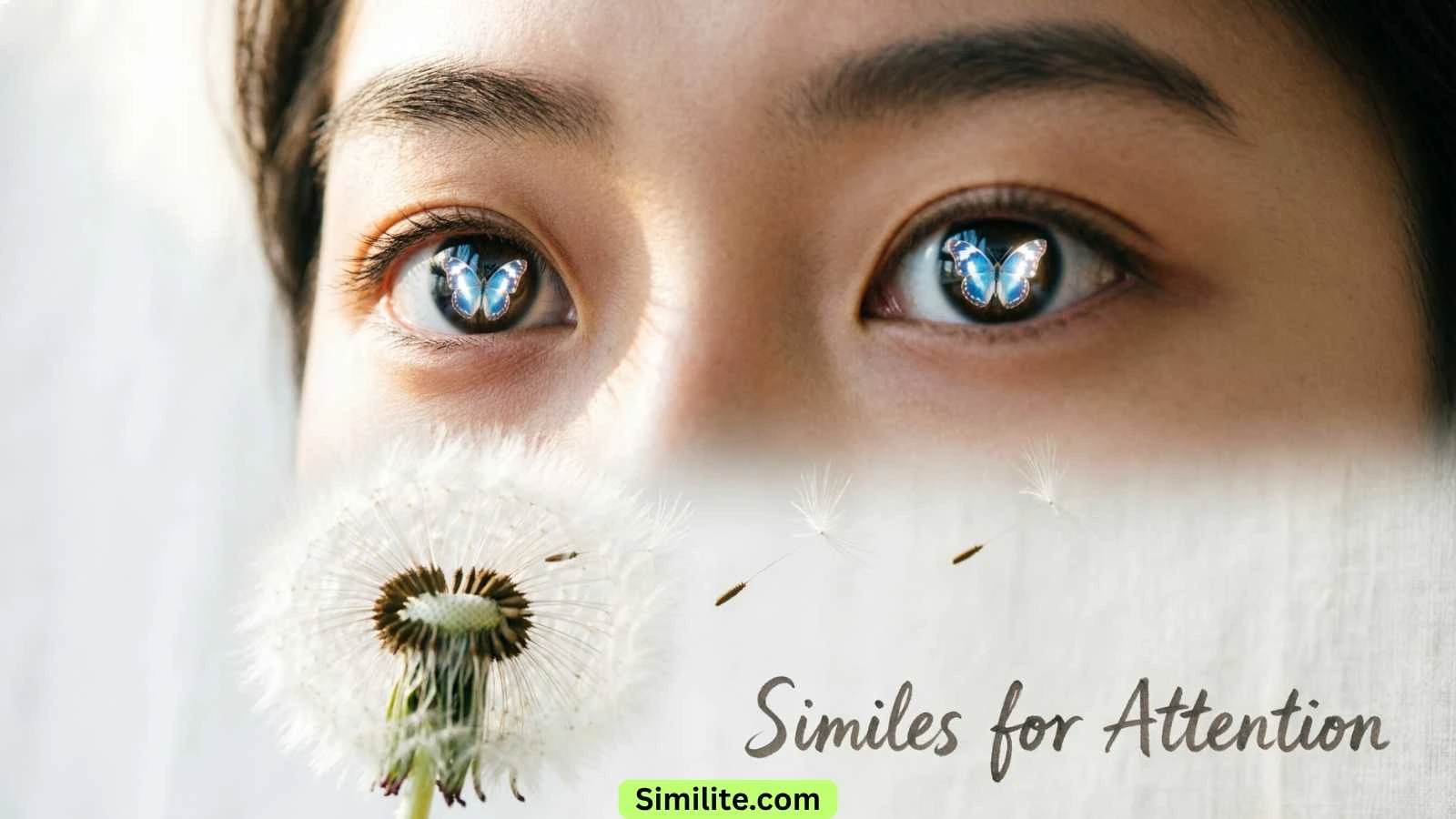 Similes for Attention