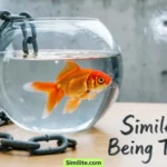 Similes for Being Trapped