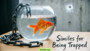 Similes for Being Trapped