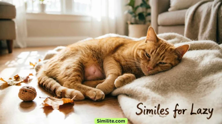 Similes for Lazy