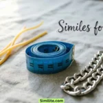 Similes for Long