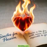 Similes for Passion